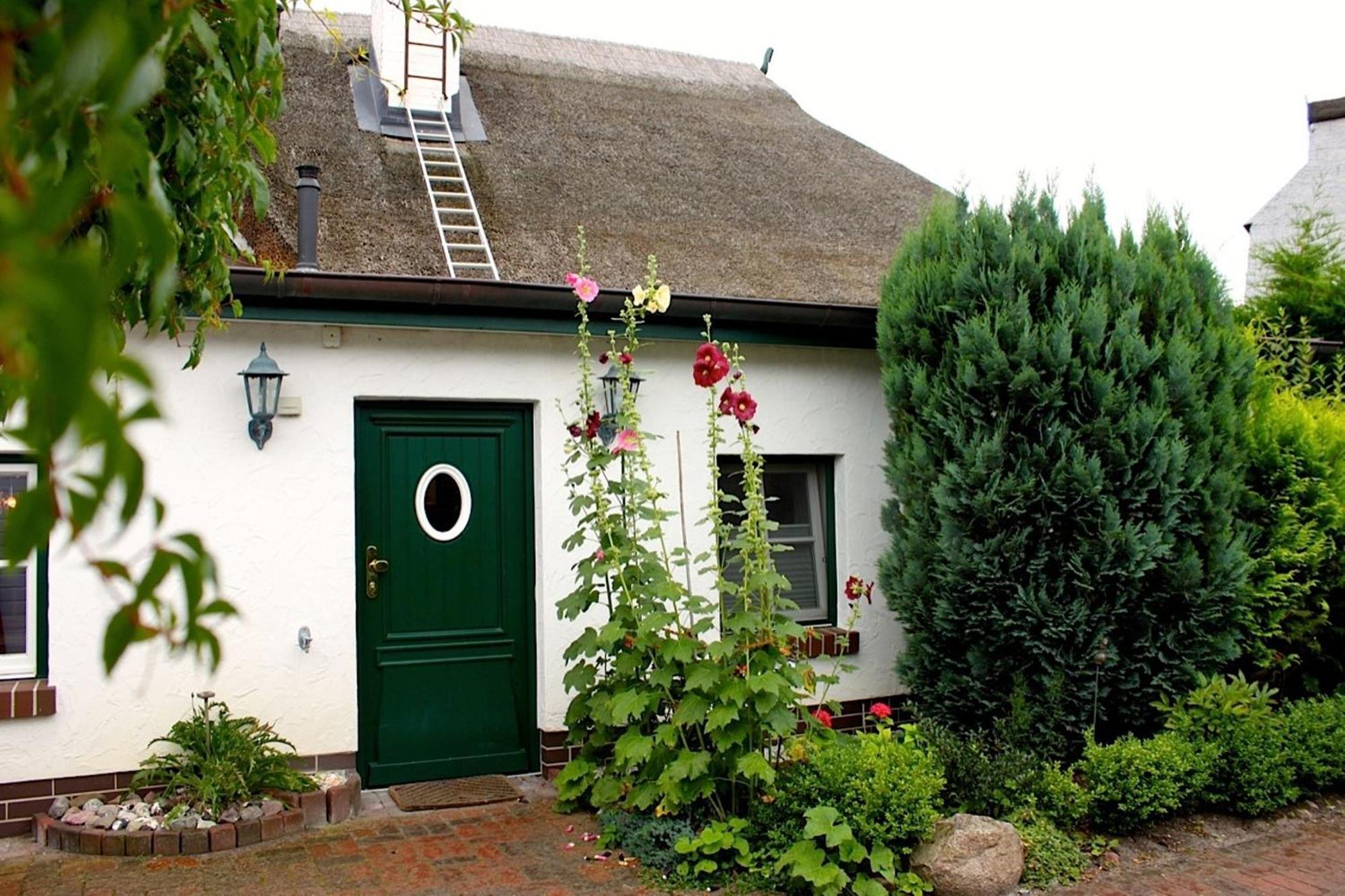 Birkenstrasse 10 Fischerhus 青斯特 外观 照片